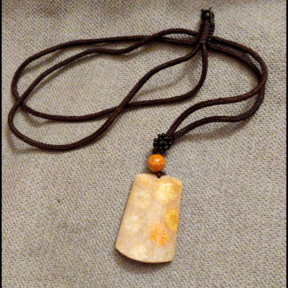 Fossilized coral necklace